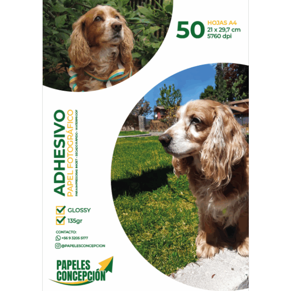 Papel Fotográfico Adhesivo Glossy / A4 / 135 gr / 50 Hojas