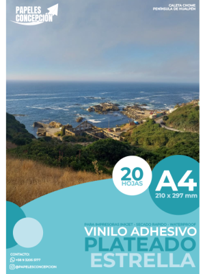Vinilo Adhesivo Plateado Estrella Imprimible / A4 / 20 Hojas (Papeles Concepción)