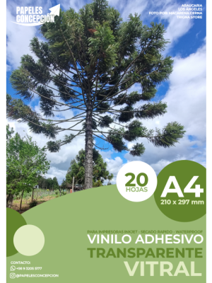 Vinilo Adhesivo Transparente Vitral Imprimible / A4 / 20 Hojas (Papeles Concepción)