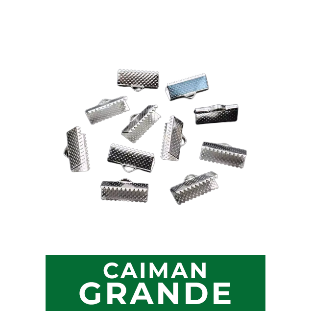 Inicio 18 caiman3